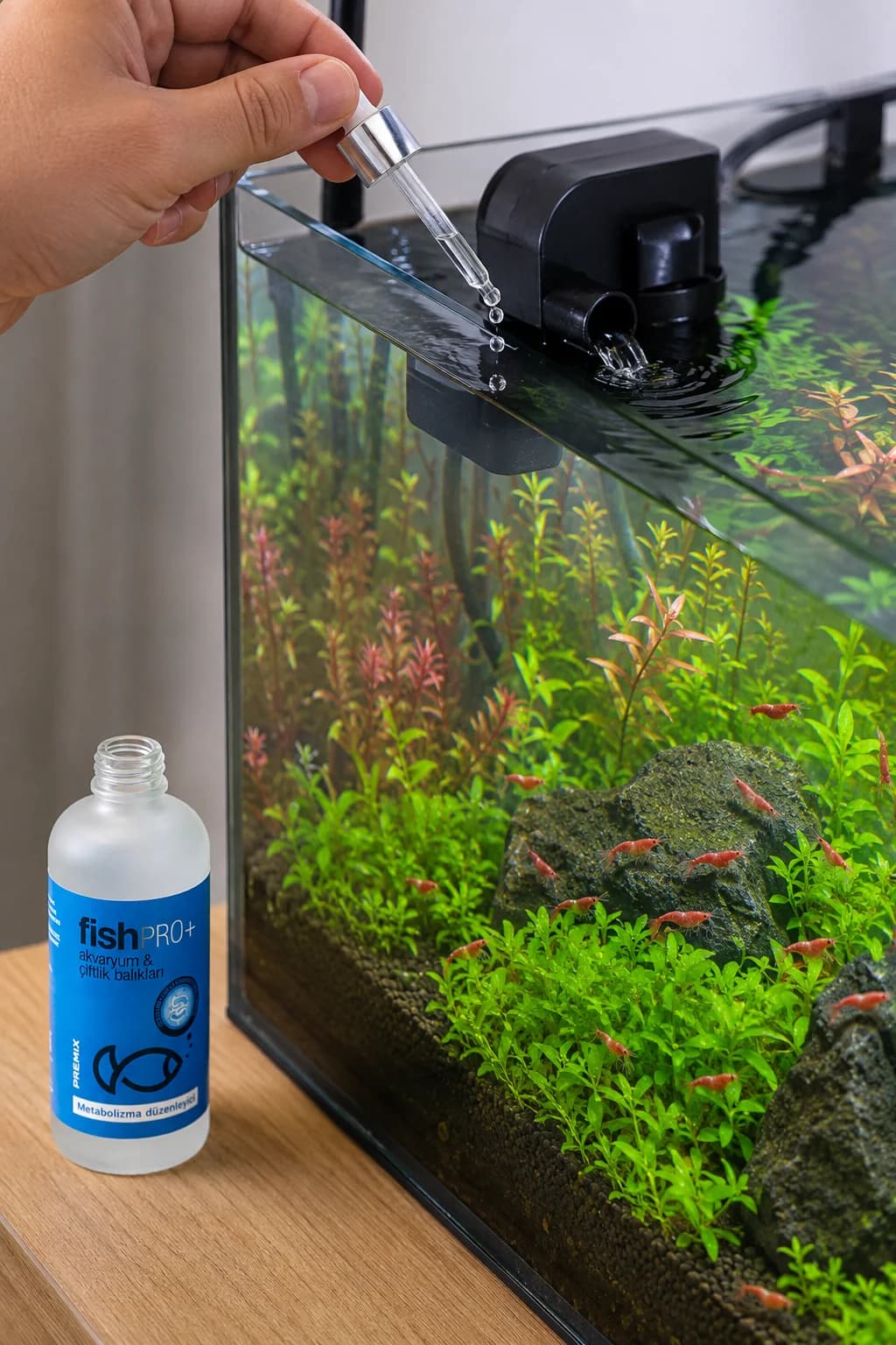 FishPro+ karides akvaryumuna doğrudan damlatma