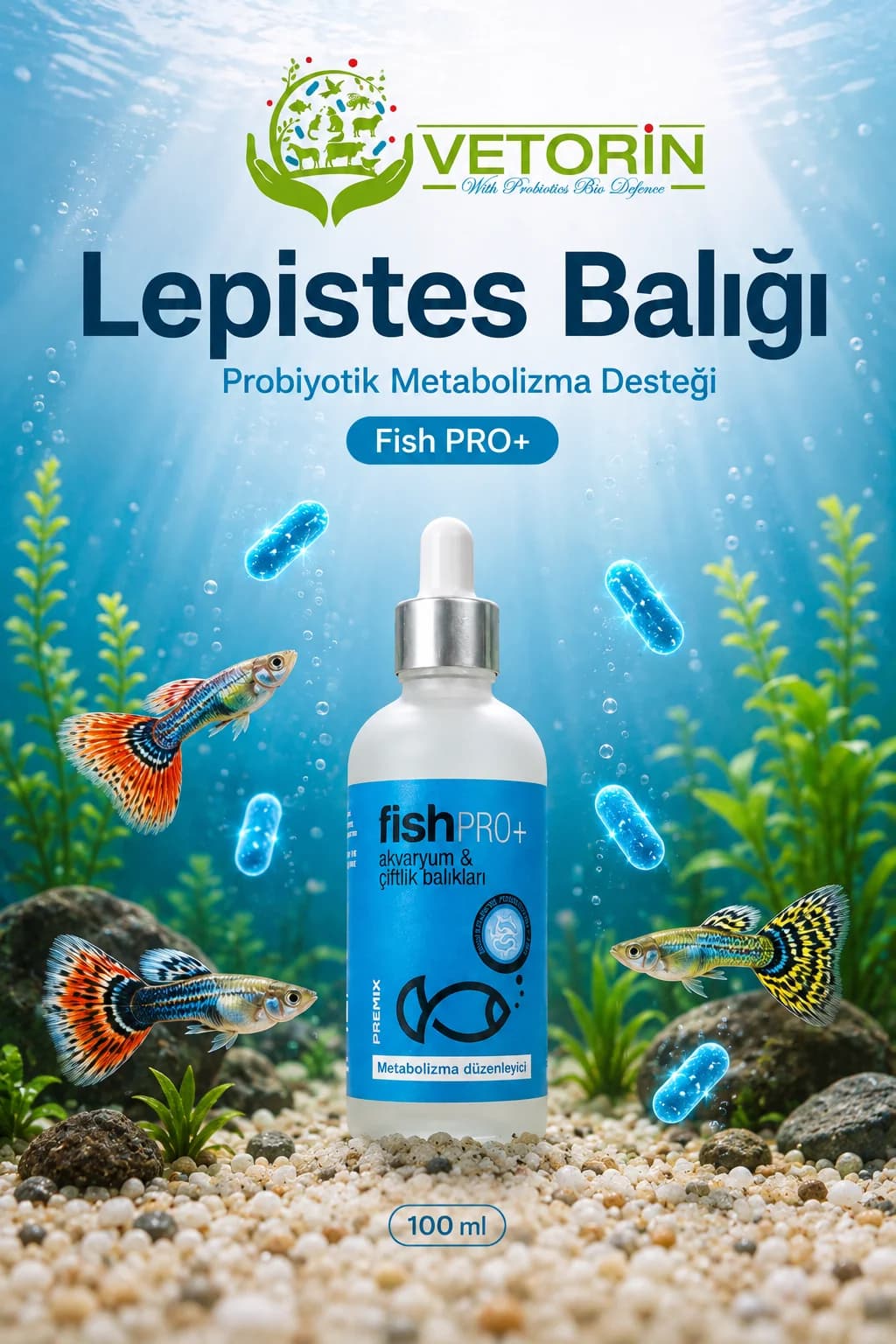 Lepistes balığı — Vetorin FishPro+