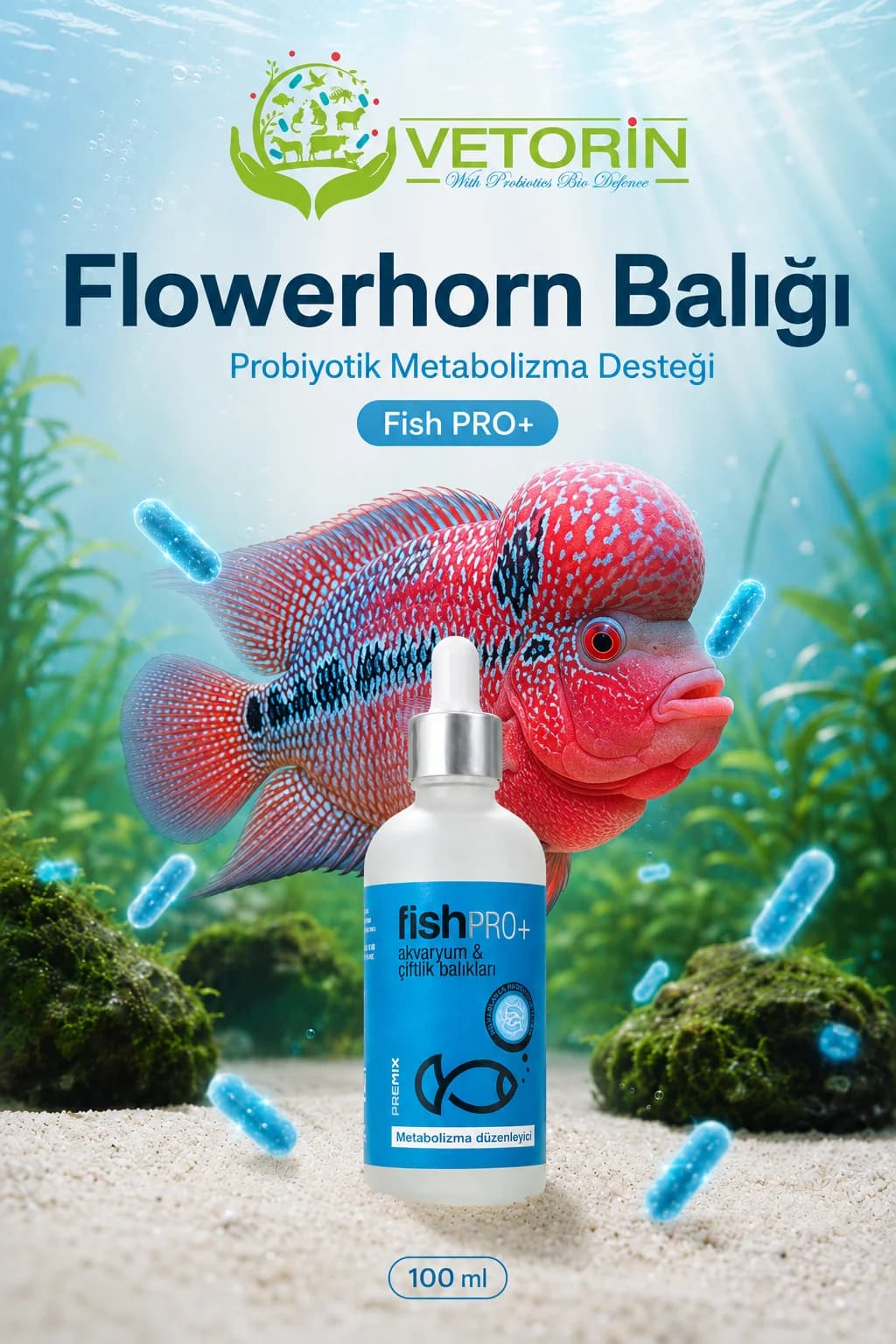 Flowerhorn balığı — Vetorin FishPro+