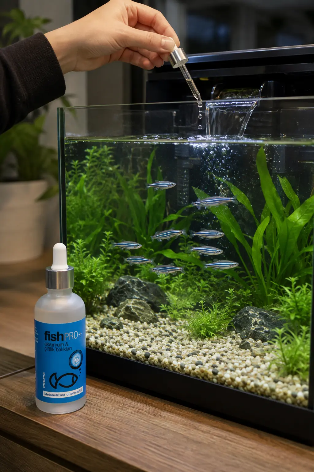 FishPro+ zebra danio su değişiminde kullanım